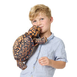 Box Turtle Puppet NEW JUNE 2026