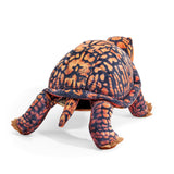 Box Turtle Puppet NEW JUNE 2026