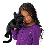 Black Cat