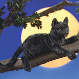 Black Cat