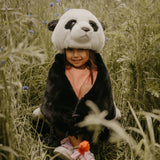 Disguise, Panda