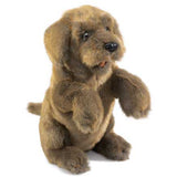 Sitting Dog