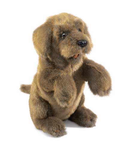 Sitting Dog