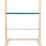 Disc Target & Ladder Game
