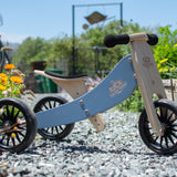 Tiny Tot Plus Bike - Slate Blue