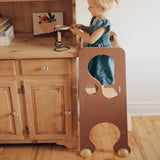 Pikler Learning Tower MOCHA