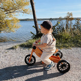 Tiny Tot Bike - Bamboo