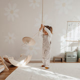 Hanging Gym - Swinging Disc