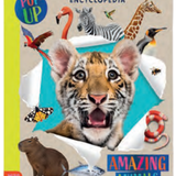 Pop Up My Very First Encyclopedia: Amazing Animals BB