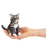 Mini Tabby Cat