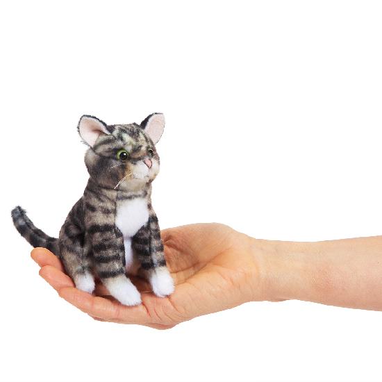 Mini Tabby Cat