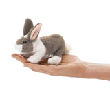 Mini Bunny Rabbit