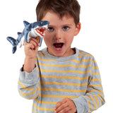 Mini Shark