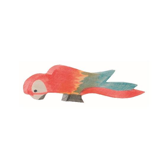 Parrot Multi-Colour