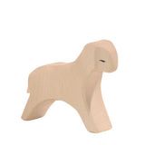 Sheep - Lamb Running