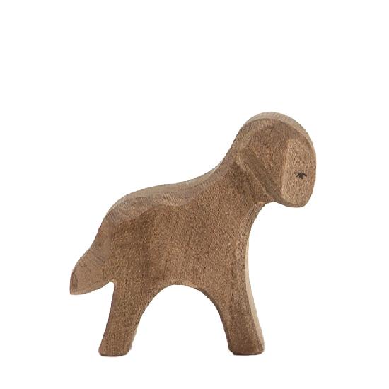 Sheep - Brown Lamb Standing