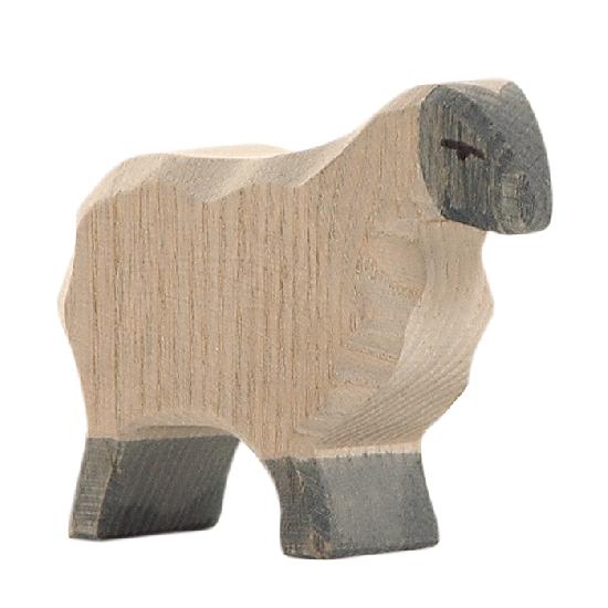 Sheep - Moorland Sheep