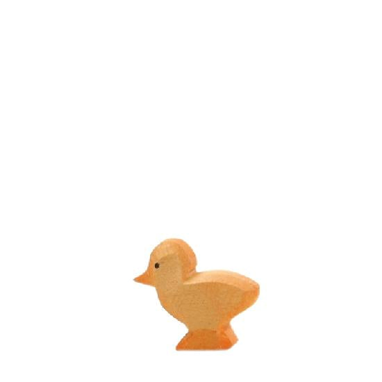 Hen Dark Chick