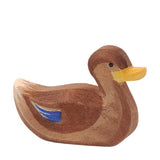 Duck Swimming