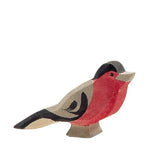 Bird - Bullfinch