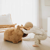 Soft Bouncy Capybara