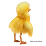 Funny Bird