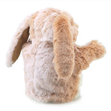 Little Lop Rabbit
