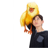Funny Bird