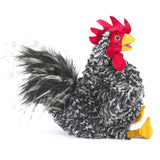 Barred Rock Rooster