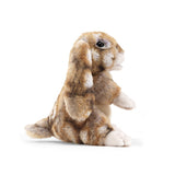 Silk Bunny Rabbit