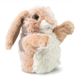 Little Lop Rabbit