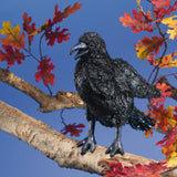 Crow