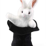 Rabbit In Hat