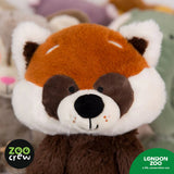 Zoo Crew Raffles the Red Panda