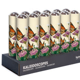 Kaleidoscope Monarch Butterfly Canada Nature