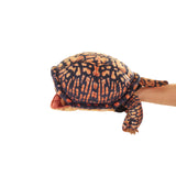 Box Turtle Puppet NEW JUNE 2026