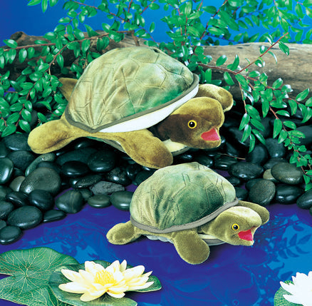 Turtle