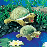 Baby Turtle