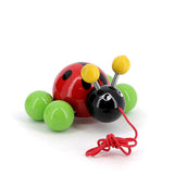Pull toy,  baby ladybug