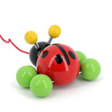 Pull toy,  baby ladybug