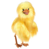 Funny Bird