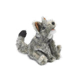 Small Coyote