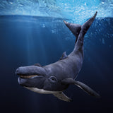 Humpback Whale Puppet NEW MAY 2026