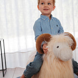 Soft Bouncy Ram
