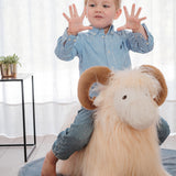 Soft Bouncy Ram
