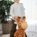 Soft Bouncy Giraffe