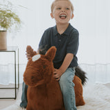 Soft Bouncy Horse