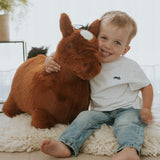 Soft Bouncy Horse