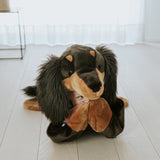 Sausage Dog Disguise