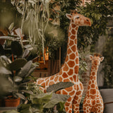 Realistic Plush, Giraffe 195cm (large)